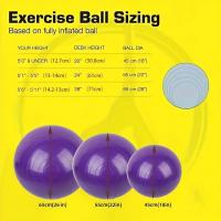 Bola De Yoga De 65CM PVC Grueso Y Antirrallado Para Ejercicio En Casa Y Gimnasio Equipo De Pilates Bola De Equilibrio - details 3