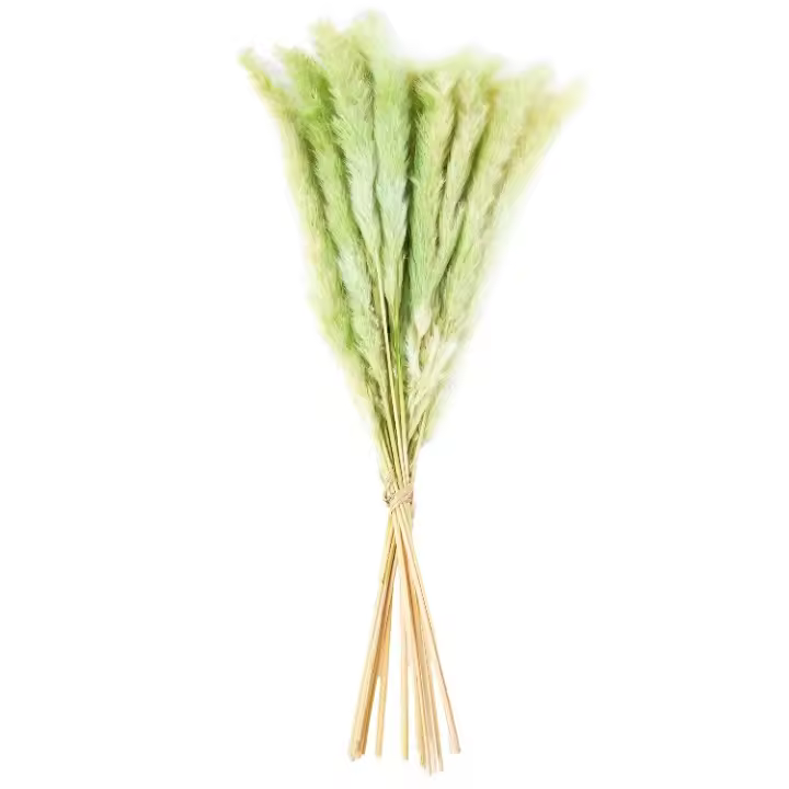 Ramo Avalon Deco Plumeros Naturales Color Verde (25x50cm) - 1