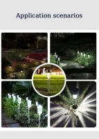 Lámpara Solar LED Para Jardín Decorativa Impermeable Iluminación De Paisaje Para Camino Patio Jardín Decoración De Césped - details 4