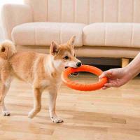 Juguetes Para Perros Disco Volador Interactivo Anti-Mordedor Adecuado Para Masticación Agresiva Suministros De Entrenamiento Para Mascotas - details 3