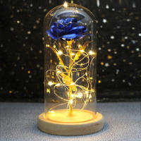 Rosa De Boda Con LED Galaxia Enchanted Con Luz En Domos Regalo De San Valentín Navidad Día De La Madre Belleza Y La Bestia Para Interior - details 23
