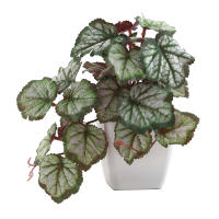 1pc Plantas Artificiales Pequeñas Con Macetas De Plástico Decoración De Escritorio Para Oficina Y Hogar Ambiente Interior Y Exterior - details 9