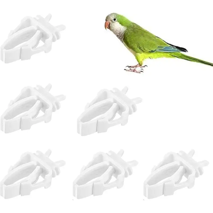 6PCS Plastic Bird Cage Feeder Clips, Loro Vegetal Fruit Clips, Accesorios de alimentación jaula de pájaros - 1