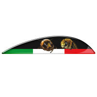 Pegatina Para Motocicleta PIAGGIO VESPA GTV GTS 125 250 300 300ie Super Adhesivo De Epoxy Resina Personalizable Sin Químicos Peligrosos - details 0