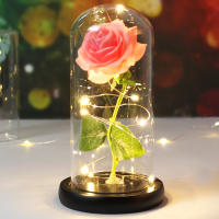 Rosa De Boda Con LED Galaxia Enchanted Con Luz En Domos Regalo De San Valentín Navidad Día De La Madre Belleza Y La Bestia Para Interior - details 30
