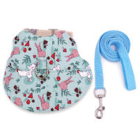Conjunto De Ropa Para Mascotas Estilo Impresión Transpirable Para Conejos Y Perros Uso Al Aire Libre Correa Y Collar Personalizado - details 5