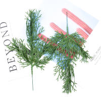 5/10pcs Hojas De Ciprés Para Decoración De Navidad Y Bodas Artesanías Y Flores Decorativas Plantas Artificiales De Prensa PP - details 14