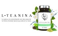 L Teanina 200 mg de Camellia Sinensis, Nootrópico Calmante 60 Cápsulas (Aminoácidos de Té Verde y Negro) Aumenta la Tranquilidad y la Concentración, L Theanine Potente, Vegano y 100% Natural, Sin GMO (L-Teanina | BestMe Lab) - details 0