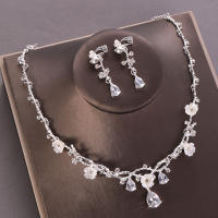 Juego De Collar Y Aretes De Flores Con Rhinestone Zircon Para Bodas Joyería De Novia Accesorios Para Vestidos De Novia Fiesta Regalo Para Mujeres - details 4