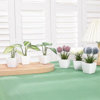 Juego De Macetas De Plástico Evergreen Para Decoración De Escritorio Y Oficina Estilo Suculentas Sin Mantenimiento Realista - details 32