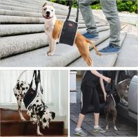 Eslinga de Soporte para Ayuda a la Movilidad de Perros Medianos Traseros - details 2