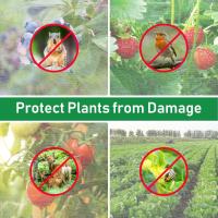 Red De Protección Para Plantas Del Jardín Malla De 60 Agujeros Para Control De Plagas Y Prevención De Pájaros Ideal Para Verduras Flores Y Frutas - details 3