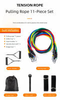 11pcs Bandas De Resistencia Para Ejercicio Elásticas Equipamiento De Fitness Portátil Con Correa De Tobillo Expansor De Pecho - details 0