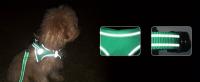 Harnés Y Correa Para Perro Reflectante De Comodidad Última Construcción Duradera Tela De Malla Transpirable Suave Y Padded Para Caminar Seguro - details 1