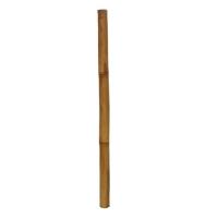 Gerimport Palo de Bambú Clasic Mahoney 7 x 150 cm - Decoración Natural Elegante para Arreglos Florales, Soportes de Plantas y Proyectos Creativos, Ideal para Interiores y Exteriores, Aporta Estilo y Calidez a Tu Hogar - details 0