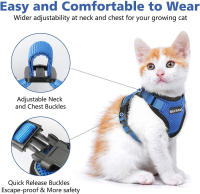 Correa De Tracción Para Gatos Transpirable Con Ajuste Y Antideslizante Chaleco Estilo Cuerda Adelantable Ultrafino Para Verano - details 21