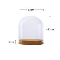 Jarrón De Vidrio Con Cubierta De Cloche Miniatura Terrario Para Flores Secas Y Plantas Decoración De Escritorio Juego De Fairy Garden - details 7