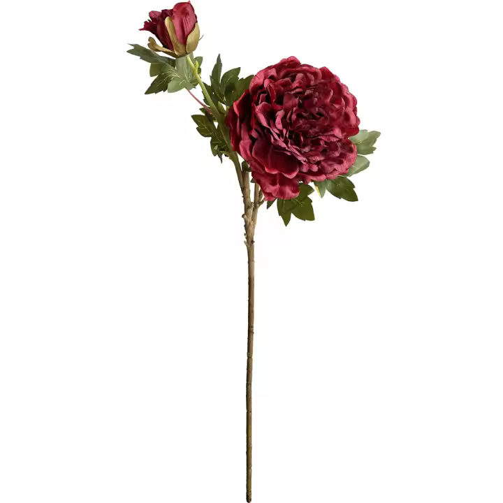 Poenia Arte Floral - Varas de Peonias Artificiales 70cm - Pack de 3 - 1