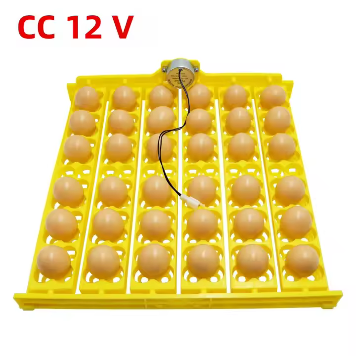  Bandeja De 36 Huevos De Codorniz Incubadora Automática Para Polluelos Patos Aves De Corral Equipo De Incubación De Plástico De Bajo Consumo - 1