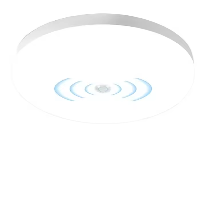 Lámpara De Techo Con Sensor De Movimiento 30W Luz Sensor De Sensor Humano 110V 220V Para Entrada Balcón Corredor Escaleras - 1