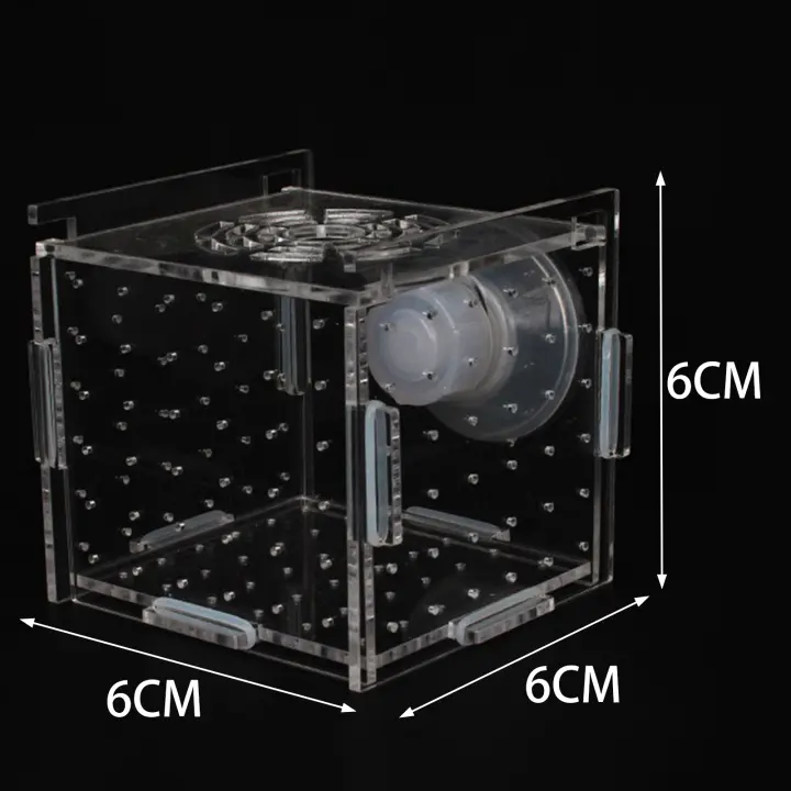 Caja De Reproducción Para Peces Acrílico Transparente Y Duradero Con Ventosa Para Acuario Accesorio Ideal Para Clavel Peces Agresivos Y Guppys - 1