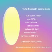 Lámpara De Techo Plana LED Ultra Delgada 20/24W Redonda Para Cocina Dormitorio Basamento Pasillo Sala De Estar Iluminación Diaria Ajustable Color Negro - details 1