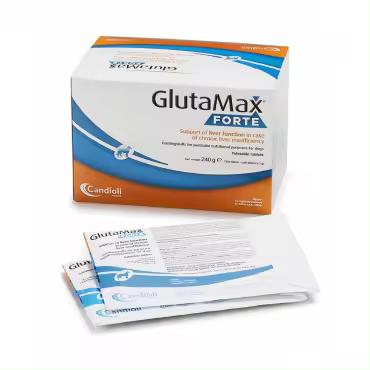 GLUTAMAX FORTE 120 COMPRIMIDOS KIMIPHARMA - 1