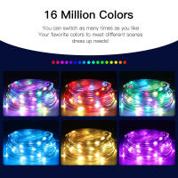 Luces LED RGBIC Bluetooth WS2812B Cadena De Luces Faeir Para Fiesta Navidad Boda Decoración Guirnalda Con USB Control Remoto Y Aplicación En Smartphone - details 16