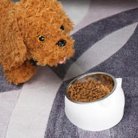 Tazón De Alimentos Para Mascotas De Acero Inoxidable Resistente Al Caídas Con Boca Oblicua Protege La Columna Vertebral Del Cuello Para Gatos Y Perros Durable Y Limpieza Fácil - details 7