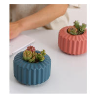 Maceta Creativa Para Suculentas Y Plantas Verdes En Plástico Grueso Decoración Para Mesa De Sala Jardín Hogar Estilo Europeo Pequeña - details 1