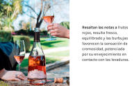 Codorniu Gran Plus Ultra Pinot Noir - Cava Rosado Brut - details 4