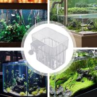 Soporte Para Plantas De Acuario Con Gancho Juego De 3 Piezas Cesta Para Plantas De Acuario Decoración Para Tanque De Peces Material ABS - details 6