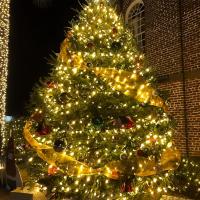 Luces De Cadena Solar LED 300LED 8 Modos Iluminación Exterior Impermeable Navidad Faeiritas Luz De Estrella Solar Poderado Tamaño 30M - details 2