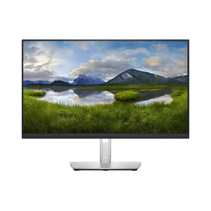 DELL P2422H 60,5 cm (23,8 pulgadas) 1920 x 1080, 210-AZYX - 1