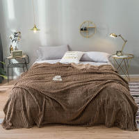 Manta Gris Plush Fluffy Flannel Fleece Suave Para Sofá Y Cama Manta De Terciopelo Poliéster Antipelusa Portátil Para Todas Las Estaciones - details 0