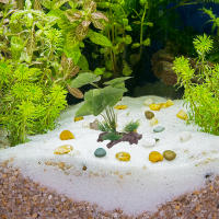 Plantas Artificiales Para Acuario Decoraciones De Terrario Pequeñas En Plástico Para Tanque De Peces Accesorios Para Acuario - details 0