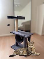 Árbol para gato gris 30x50x83cm, con plataformas, rascadores y zonas de descanso. Ideal para estimular el ejercicio, el juego y el descanso de tu felino. Materiales resistentes y seguros, perfecto para gatos de todos los tamaños - details 1