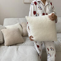 Funda De Cojín Decorativa De Peluche Teddy 45x45 Estilo Nórdico Suave Y Acogedor Para Sala De Estar Funda De Cojín De Tela Tejida Sin Patrón - details 1