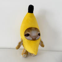 Colgante De Gato Banano Divertido Y Creativo Muñeco Bolsa Para Parejas Regalo Para Novias Llavero De Gato Banano - details 3
