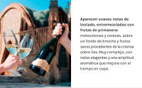Codorníu Gran Plus Ultra - Cava Brut Nature, 100% Chardonnay - 75cl - details 3