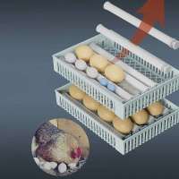 24 Eggs Incubator Drawer Type Automatic Egg Flipping Waterbed Replenishment Temperature Control Touch Screen Fully Automatic Incubator - details 4
