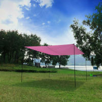 Palo De Tenda Telescópico De Aluminio Ajustable Para Camping Senderismo Y Canopy Refugio Con 2 Conjuntos Accesorios De Sombra - details 5
