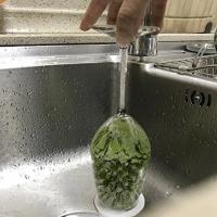 Cepillo De Limpieza Para Vajilla Y Botellas Con Aspiración Para Fregadero Multifuncional Y Ecológico Verde Accesorio De Cocina - details 5