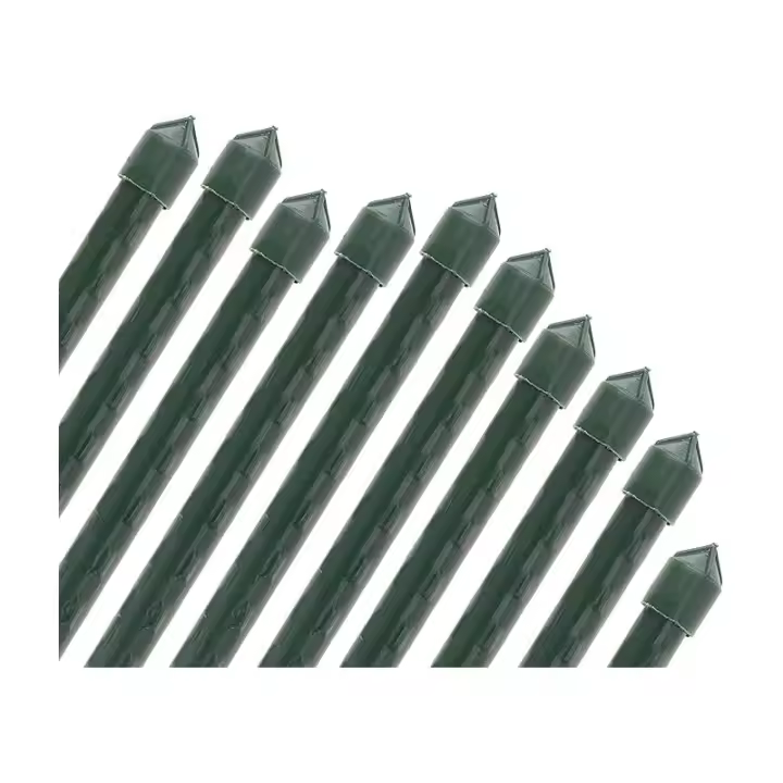 SUINGA Pack 25 Tutor de Bambú plastificado 150 cm (12-14mm), Varillas para Plantas y Árboles, Tutores para Tomates y Plantas trepadoras - 1