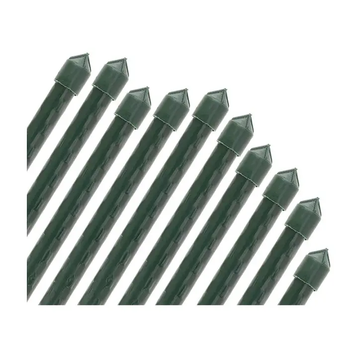 SUINGA Pack 25 Tutor de Bambú plastificado 150 cm (12-14mm), Varillas para Plantas y Árboles, Tutores para Tomates y Plantas trepadoras - 1
