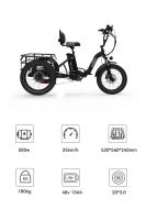 2025 Onesport Bicicleta de carga Eléctrica de 20 pulgadas OT30 48v13ah Katería de Lithium octogonal 65nm Motor 4PA Transmisión de Clase 7 - details 0
