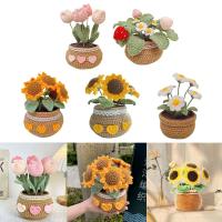 Kit De Inicio Para Crochet De Tulipanes Hechos a Mano DIY Para Adultos Y Niños Con Plantas En Macetas Herramienta Textil Para Mujeres - details 0