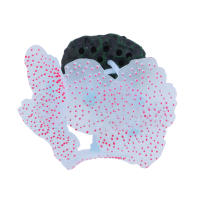 Decoraciones De Acuario Simulación De Mundo Submarino Luminoso De Silicona Coral Falso Fluorescente Anémona De Mar Colorida Para Jaula De Peces - details 6