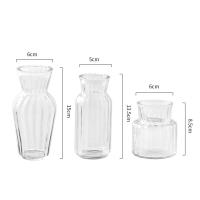 Vaso De Flora De Vidrio Transparente Estilo Europeo Mini Para Plantas Hidroponicas Decoración De Escritorio Para Casa Y Boda - details 1