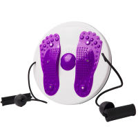 Equipo De Fitness Portátil Para Masaje De Cintura Y Rodillas Disco De Torcimiento Magnético Máquina De Ejercicio Abdominal Y Cintura - details 1
